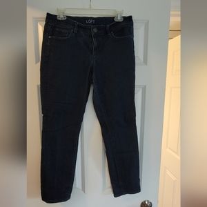 Women's Ann Taylor Loft Modern Skinny Jean Medium Blue Size 10P